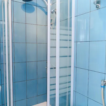 Arsic-home Soko Banja