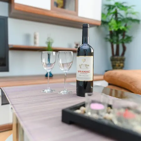 Apartment Arsic-home Soko Banja