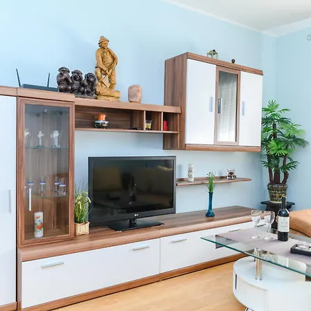 Apartman Arsic-home Soko Banja