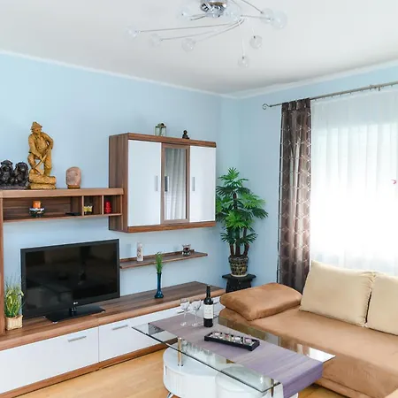 Arsic-home * Soko Banja