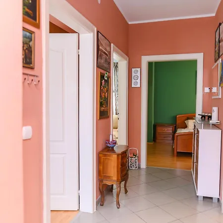 Apartman Arsic-home *