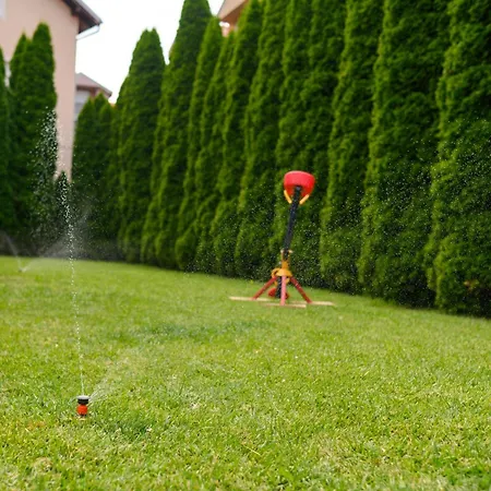 Arsic-home Soko Banja